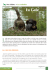 chien (Page 1) - Chasseurs.pro