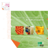 Les métiers de l`expédition-exportation de fruits et légumes
