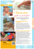 Eveil - Blog Hop`Toys