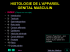 histologie de l`appareil genital masculin