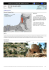 A5 &ndash; Mur en pierre s&egrave;che
