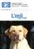 L`&oelig;ilqui voit - Fondation romande pour chiens guides d`aveugles