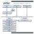 Structure du groupe - Expertises Galtier