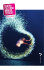 musique - Centre Culturel Communal d`Orly