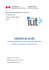 rapport de stage