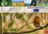 rapport d`activit&eacute; 2015