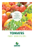 tomates - GAUTIER Semences
