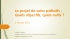 Consulter la pr&eacute;sentation powerpoint