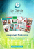 Enseignement Professionnel