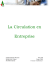 La Circulation en Entreprise - Sant&eacute; et S&eacute;curit&eacute; au Travail en PACA