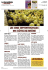 LES CRUS SEPTENTRIONAUX DES C&Ocirc;TES-DU