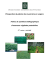 Prospection de plantes de couverture en vergers Fiches de