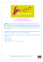 Newsletter 13 - Les F&eacute;minissimes de Paris