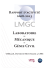 UMR , UM , CNRS - Laboratoire de Mécanique et Génie Civil