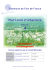 Plan Local d`Urbanisme - Ville de Fort-de