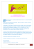 Newsletter 10 - Les F&eacute;minissimes de Paris