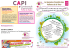 Programme de la semaine