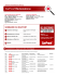 SOMMAIRE DU RAPPORT