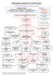 ARBRE GENEALOGIQUE DE LA COUNTRY