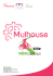 Contact presse : - Office de Tourisme de Mulhouse
