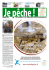 Prêt pour votre 1re truite ? - Fédération de pêche de la Haute