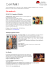 Newsletter de mai 2008 - Association Japon et culture