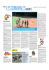 La Gazette de Montpellier F&eacute;vrier 2015