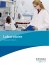 ScienceLine - SI Analytics