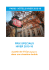 prix speciaux hiver 201516