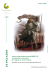 Le paladin - Le Scriptorium
