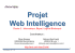 Le WEB - Web Intelligence en Rh&ocirc;ne
