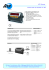 Indicateur de Pesage VT100