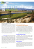 GOLF TILL YOU DROP IN MURCIA