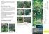Plantes en bac - Aebi