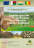 gomme arabique