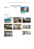 PDF Acrobat
