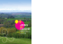 Livret "Arbres en campagne"
