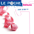 PocheJANV2013-19-12