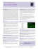 Datasheet Blank Template - Santa Cruz Biotechnology, Inc.