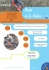 Le guide de l`insertion - seconde partie