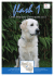 Flash n° 1 2015 en format pdf - Centre Belge pour Chiens