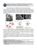 Nano-objets pour le refroidissement en - INL