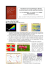 Visualisation en électrophotonique (Kirlian) des interactions de