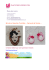 Broche et boucles d`oreilles &laquo; Carnaval de Venise