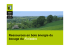 Ressources en bois &eacute;nergie du bocage du Finist&egrave;re