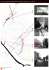 LA petite ceinture, DeS LiGneS, DeS LienS, DeS
