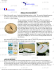 Field navigation