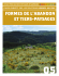 FoRmes De l`aBaNDoN eT TieRs-paYsages