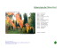 le Dossier de Presse en pdf - Arboretum du Chêne-Vert
