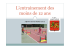 L`entrainement des moins de 12 ans